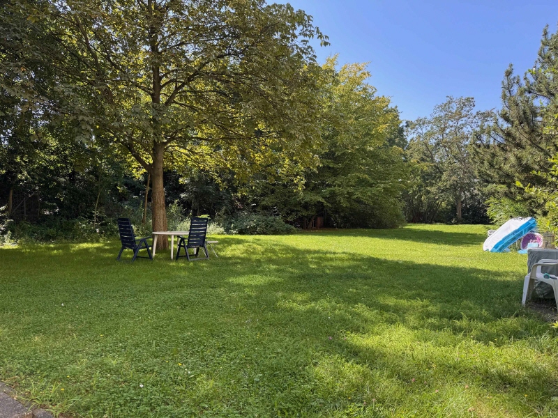 Garten-(2)