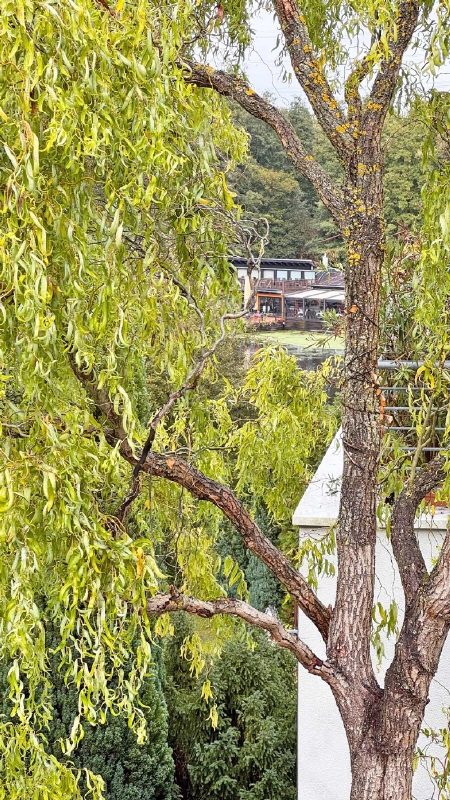 Seeblick---Dachterasse